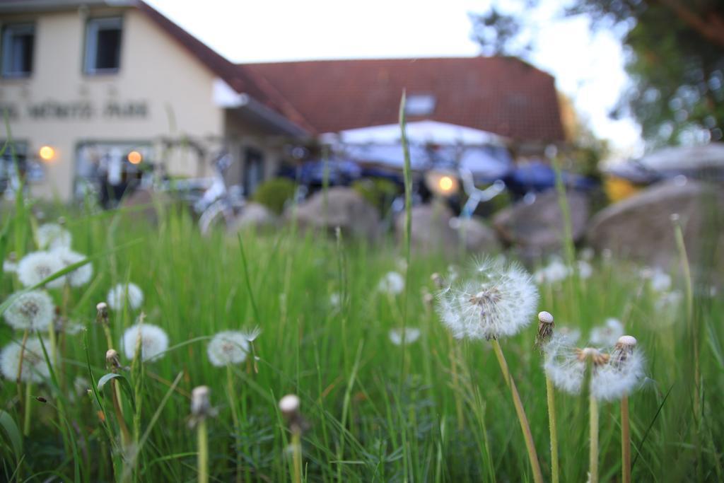Hotel Mueritz-Park Boek Exterior photo